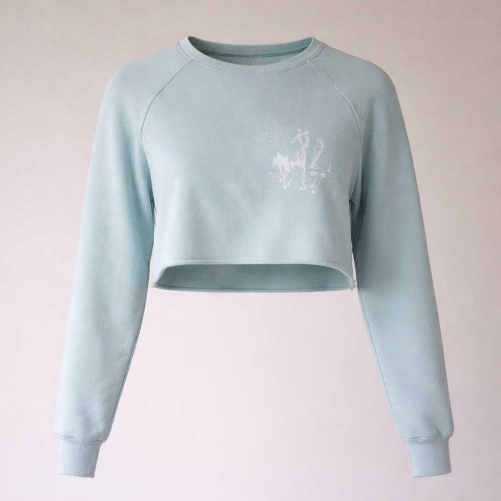 Baja East Womens Size 3/XL Cropped Crew Neck Sweatshirt Mint Green‎ Long Sleeves